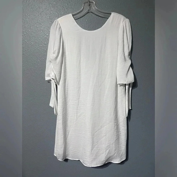 NWT Naked Zebra Off White Low Back Dress Lined Sz SM Soft & Silky Tie Sleeves - Picture 1 of 7